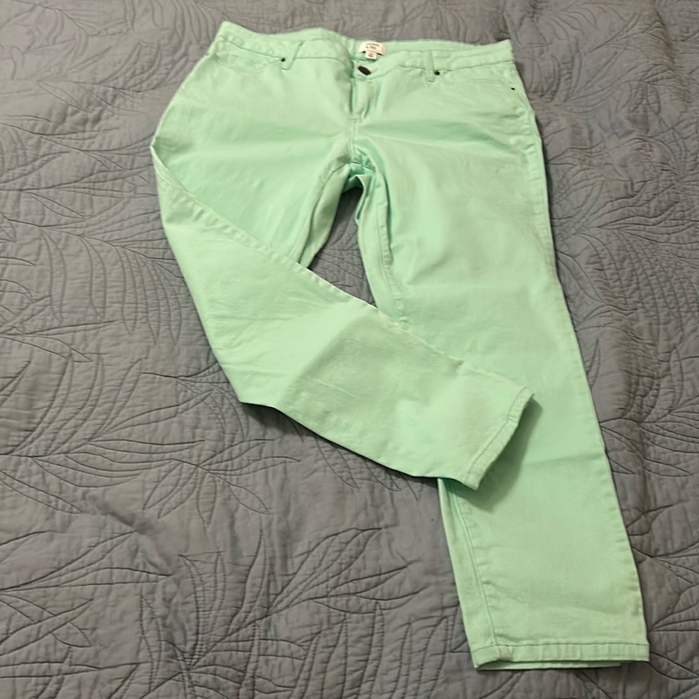 Light Green, Crown & Ivy Pants